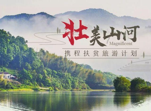 蝙蝠侠：阿甘骑士